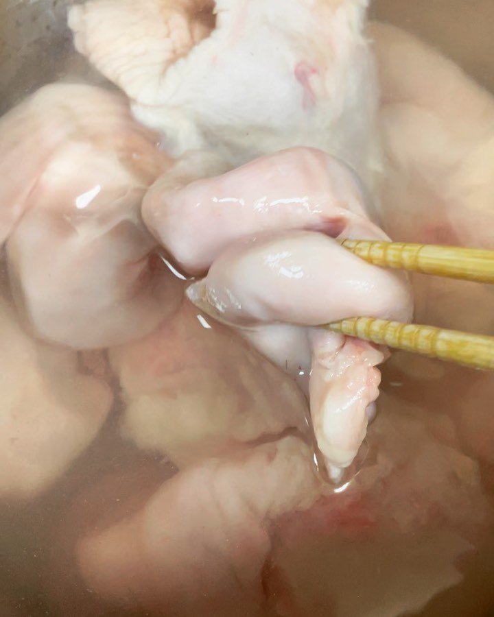 閲覧注意グロいですよ 波動砲発射ーじゃないですw こんばんは 椿苑のまるさんです 椿苑の隠れ人気メニュー 子宮ポン酢 牛コブクロを仕入れると 子宮から卵管 コブクロ まで一緒に納品されます 切り込み入れても硬いので ゆっくり低温で湯掻いてから 一口大にカット 閲覧注意グロいですよ 波動砲発射ーじゃないですw こんばんは 椿苑のまるさんです 椿苑の隠れ人気メニュー 子宮ポン酢 牛コブクロを仕入れると 子宮から卵管 コブクロ まで一緒に納品されます 切り込み入れても硬いので ゆっくり低温で湯掻いてから 一口大にカット