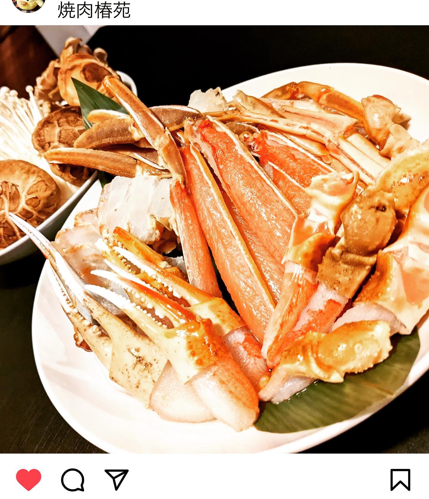 昨日から始まりました🥰
椿苑の蟹すきしゃぶ🦀

常連様に喜んでもらえて
まるさん嬉しい(〃^∇^)ﾉ♪

〆の雑炊がまぢ美味い

蟹好きは12月までに是非