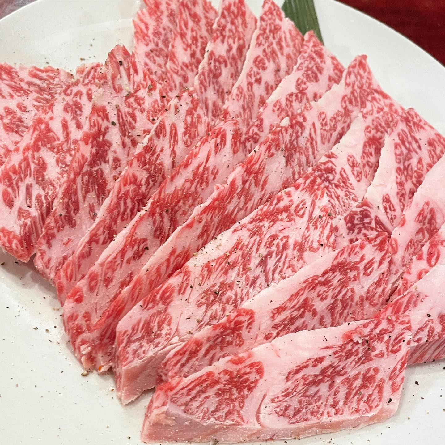 カルビ️
こんにちは
椿苑のまるさんです
団体様利用も増えて来ました
おまかせコース
ご希望 ご予算に対応致します
2時間飲み放題付き
5000円より対応中です
これが食べたいとか指定ある場合は、予算ご希望相談ください