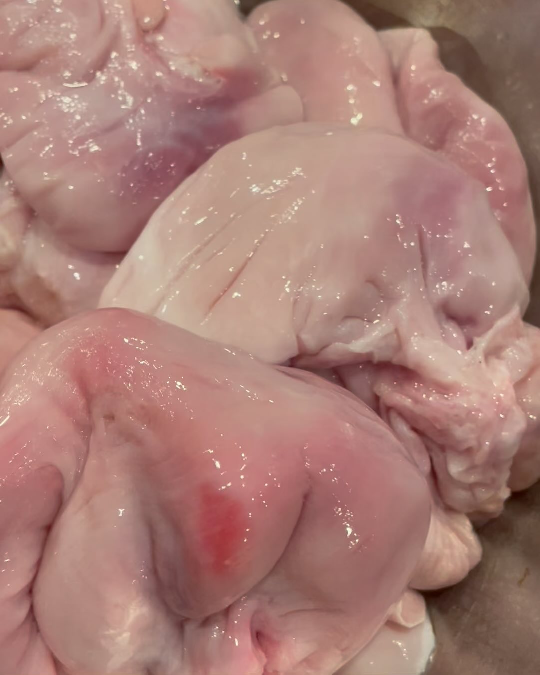 子宮ポン酢の仕込み

なかなか見ることない️

牛の子宮と卵管(コブクロ)

ボイルして薄くスライスでポン酢が合います🥰是非お試しください