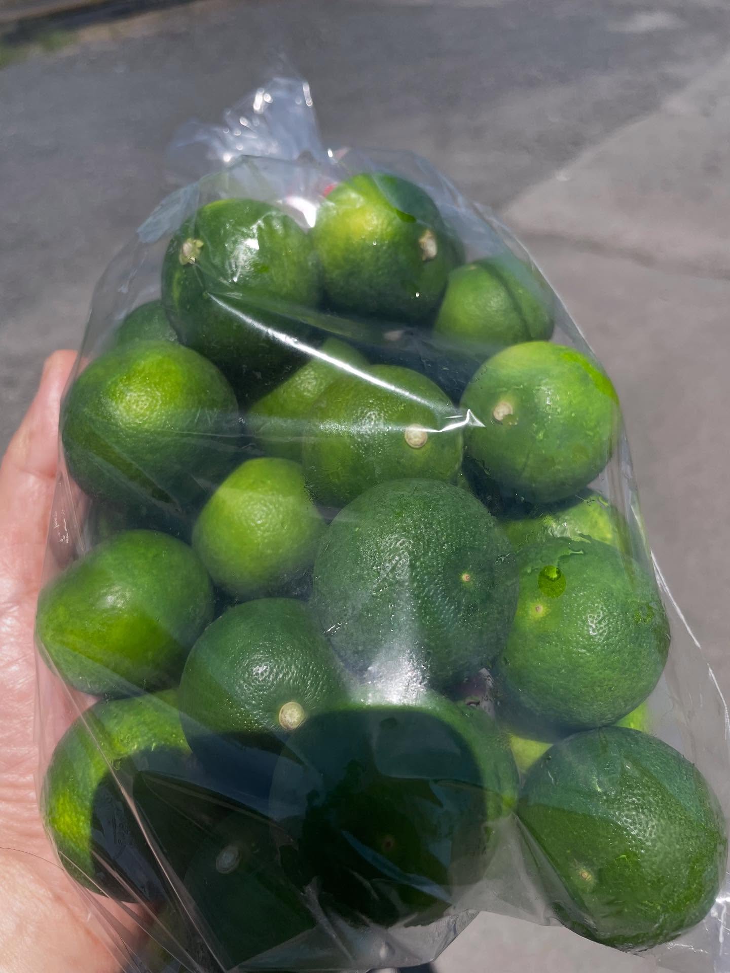 すだちが届きました

品切れだったすだち柚子冷麺🥰
今日から復活しまーす

是非お召し上がりください