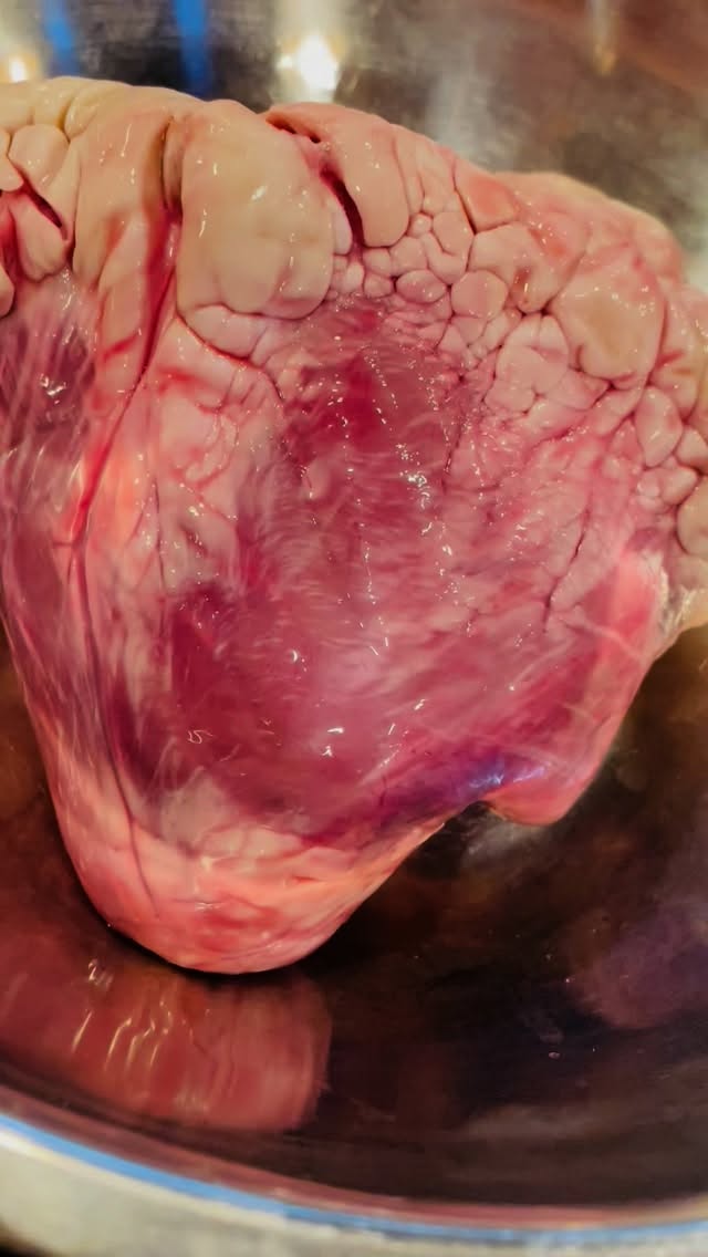 最近取り置き予約がよく入るアブシン

見た事無い方多いので️

実物はこちら

牛の心臓に被ってる脂は、プチっと弾けるコラーゲンたっぷりの部分

肉の脂と違い

脂っこくなく食べれて
人気急上昇中🥹

ハツの1部でしか用意出来ない為

ご希望の方は、予約時に取り置きをおすすめします

常にある部位ではないので、ご了承下さい

 焼肉
焼肉